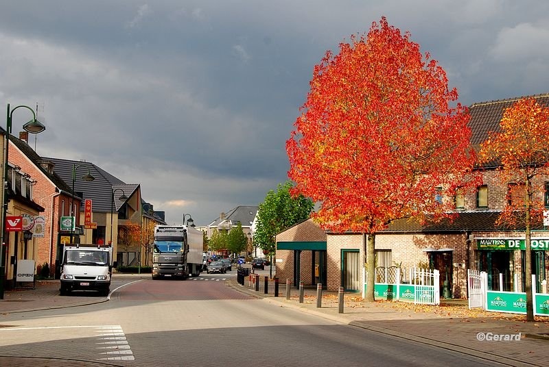 Vlammende herfstkleuren aan de Stadswaag.JPG - Vlammende herfstkleuren aan de Stadswaag